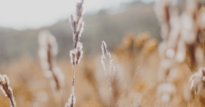 Individual Psychotherapy for Depression